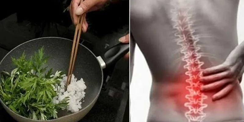 Bài thuốc chữa thoát vị đĩa đệm