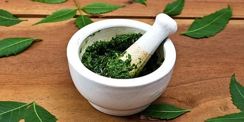 chữa thoát vị đĩa đệm bằng lá lốt